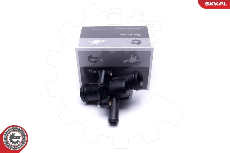 Thermostat, coolant